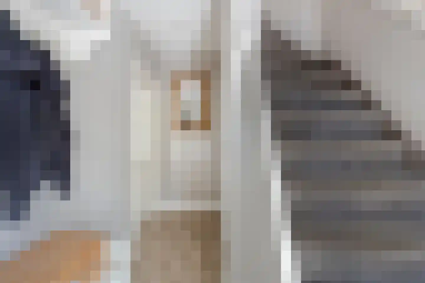 Buurtscheuterlaan 45 Ede thumbnail 14