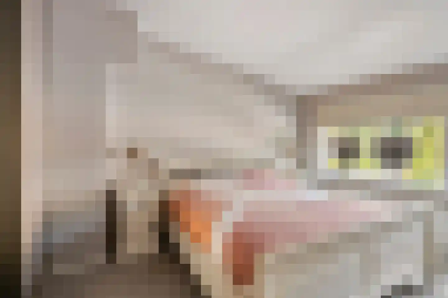 Buurtscheuterlaan 45 Ede thumbnail 17