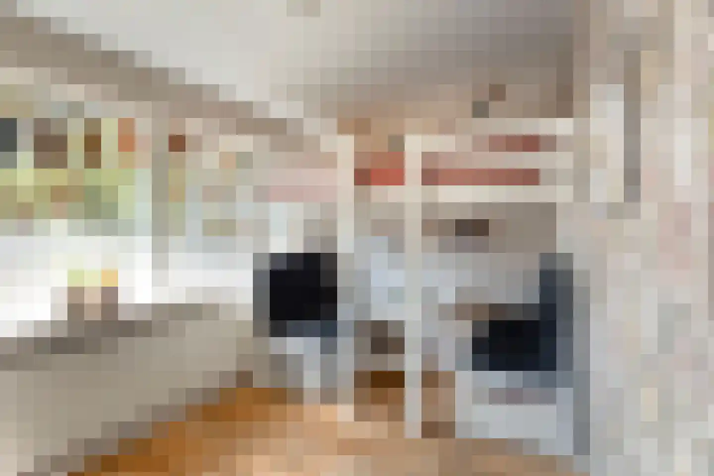 Buurtscheuterlaan 45 Ede thumbnail 19