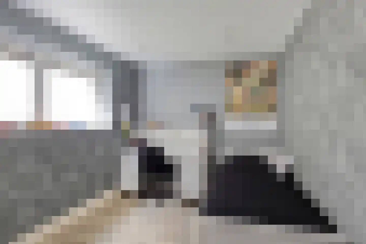 Buurtscheuterlaan 45 Ede thumbnail 22