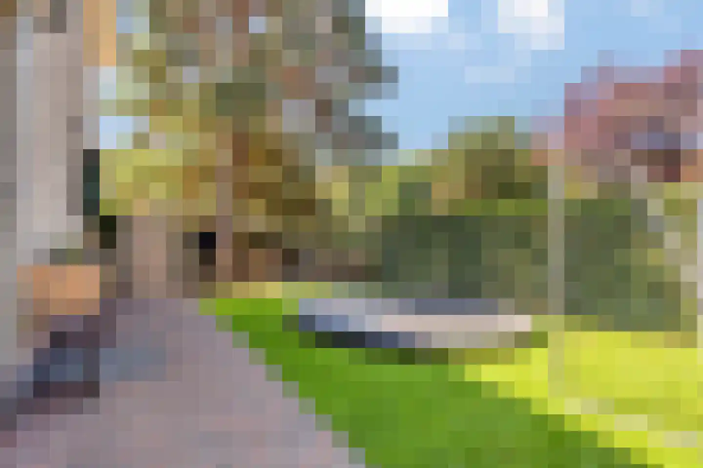Buurtscheuterlaan 45 Ede thumbnail 30
