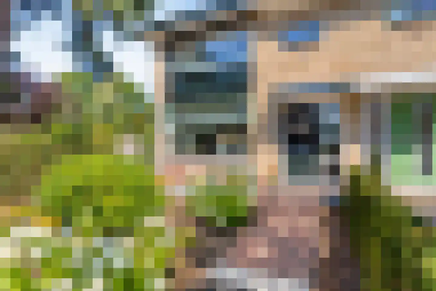 Buurtscheuterlaan 45 Ede thumbnail 36