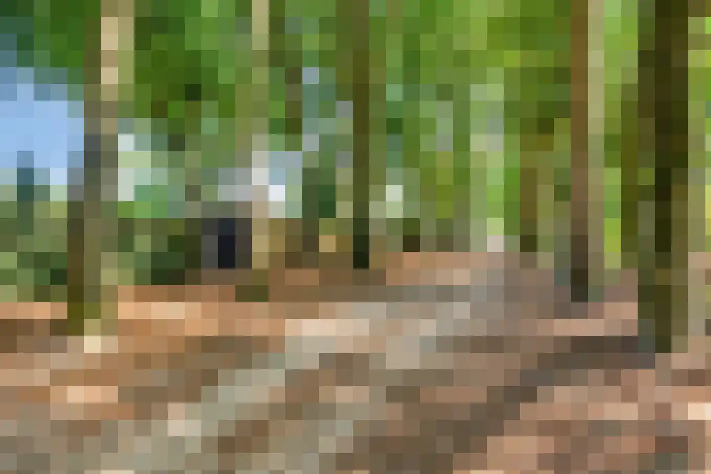 Buurtscheuterlaan 45 Ede thumbnail 43