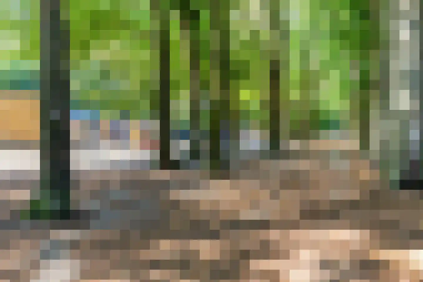 Buurtscheuterlaan 45 Ede thumbnail 44