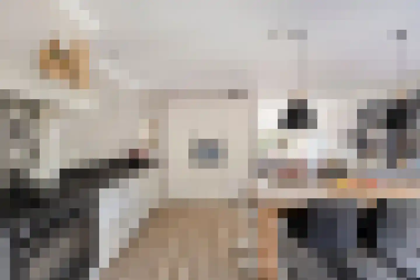 Buurtscheuterlaan 45 Ede thumbnail 6