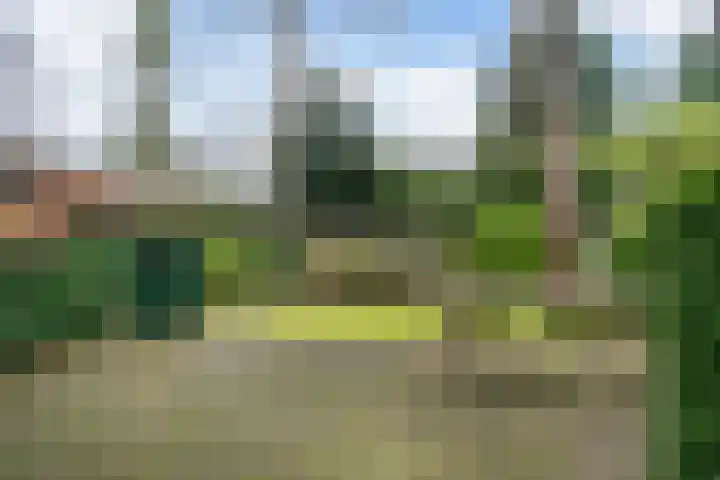 Buurtscheuterlaan 7 Ede thumbnail 21