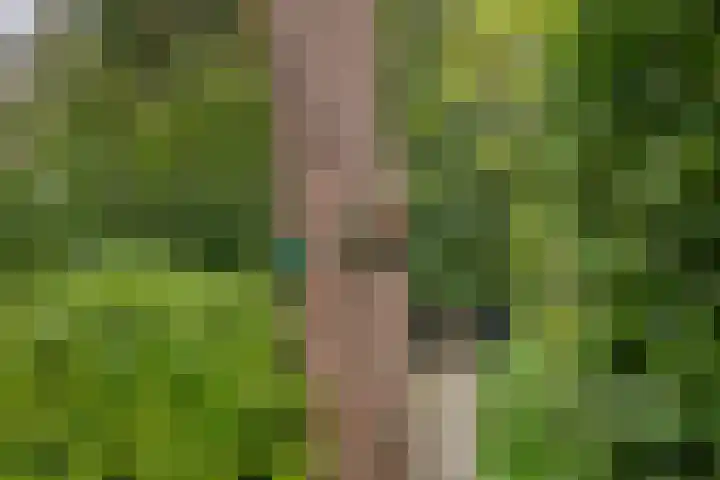 Buurtscheuterlaan 7 Ede thumbnail 22