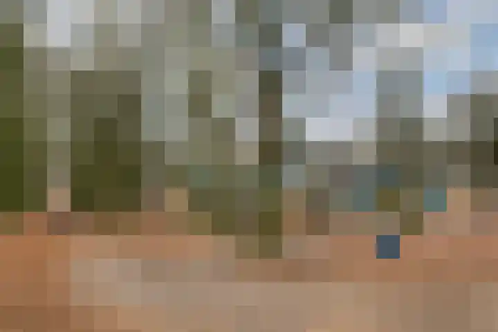 Buurtscheuterlaan 7 Ede thumbnail 27