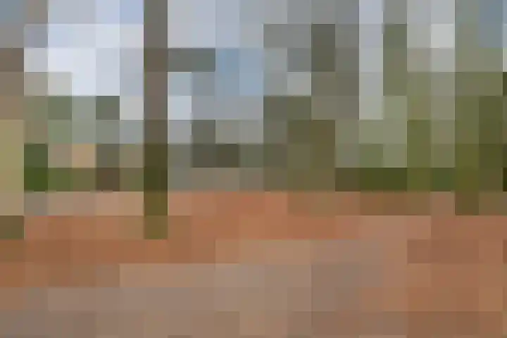 Buurtscheuterlaan 7 Ede thumbnail 28