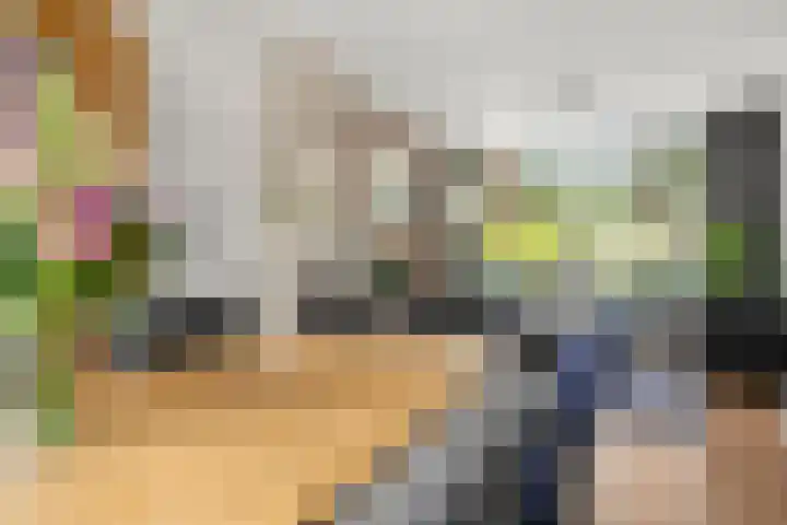 Buurtscheuterlaan 84 Ede thumbnail 11