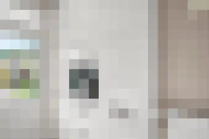 Buurtscheuterlaan 84 Ede thumbnail 13