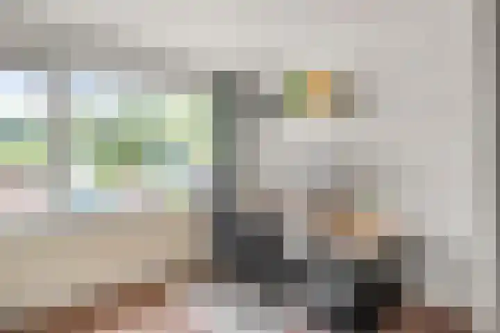 Buurtscheuterlaan 84 Ede thumbnail 19