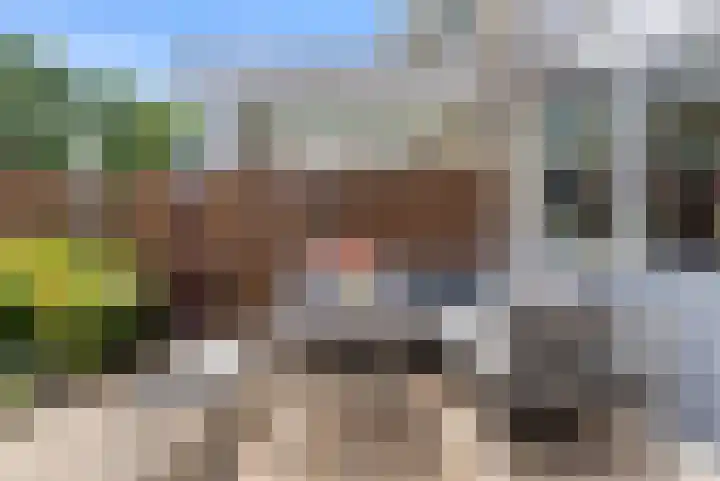 Buurtscheuterlaan 84 Ede thumbnail 28