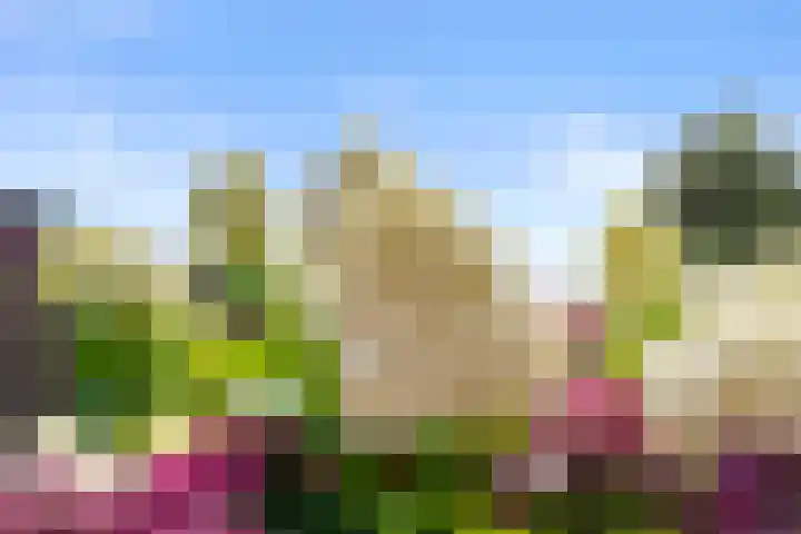 Buurtscheuterlaan 84 Ede thumbnail 30