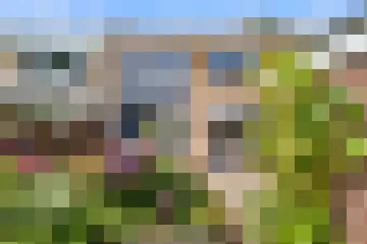 Buurtscheuterlaan 84 Ede thumbnail 31