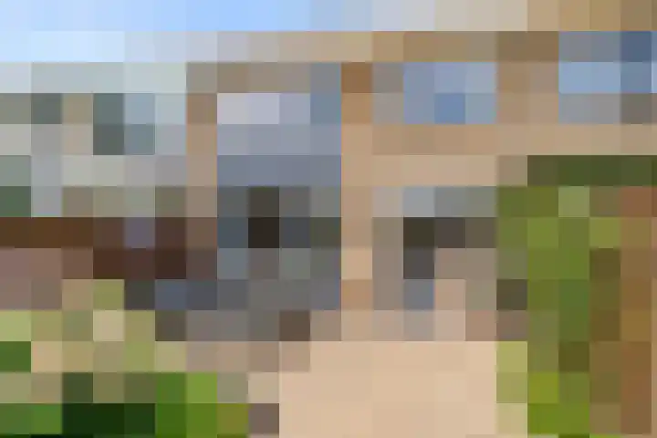 Buurtscheuterlaan 84 Ede thumbnail 32
