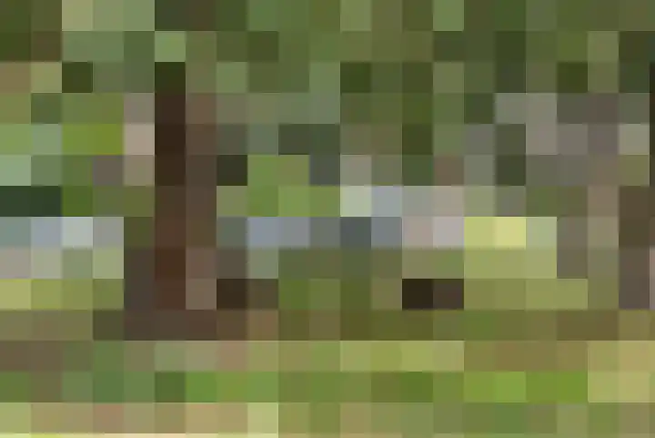 Buurtscheuterlaan 84 Ede thumbnail 34