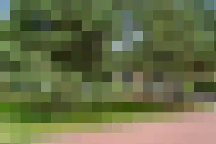 Buurtscheuterlaan 84 Ede thumbnail 35