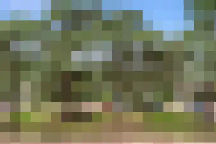 Buurtscheuterlaan 84 Ede thumbnail 36