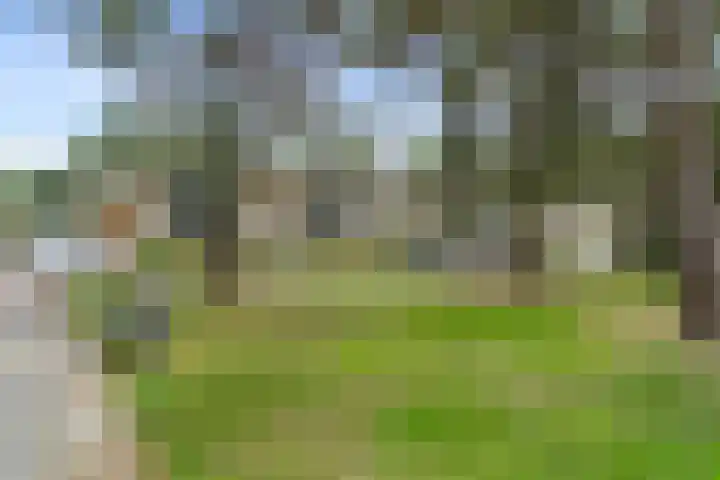 Buurtscheuterlaan 84 Ede thumbnail 37