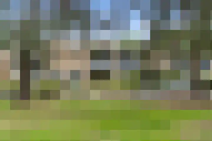 Buurtscheuterlaan 84 Ede thumbnail 4