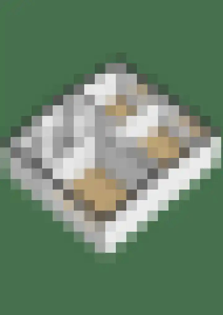 Buurtscheuterlaan 84 Ede thumbnail 41