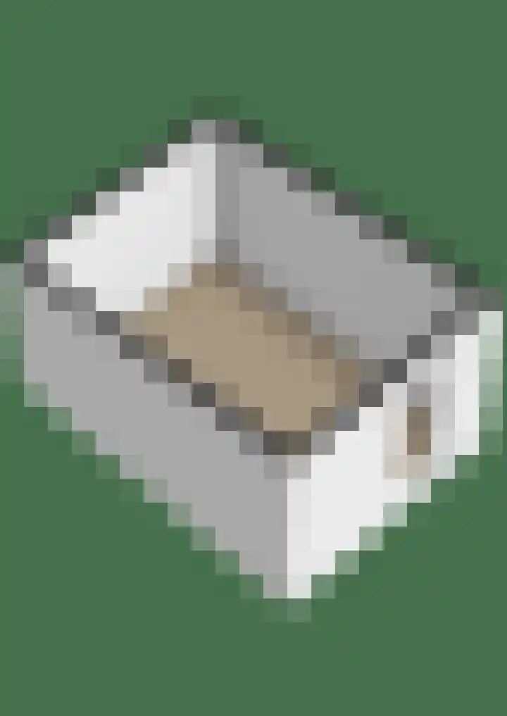 Buurtscheuterlaan 84 Ede thumbnail 45