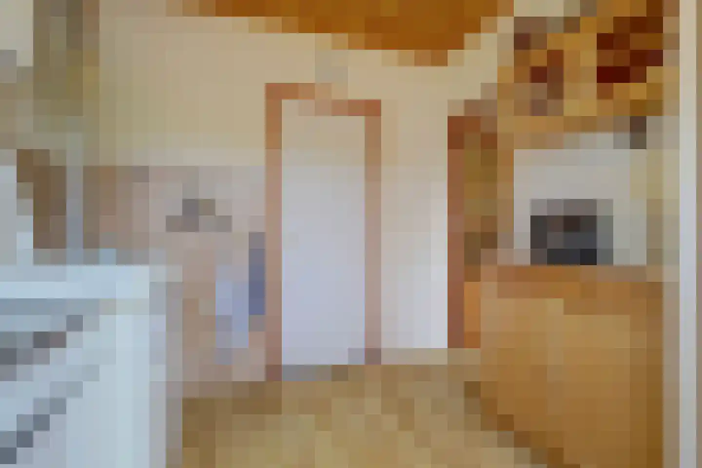 Buurtscheuterlaan 90 Ede thumbnail 14
