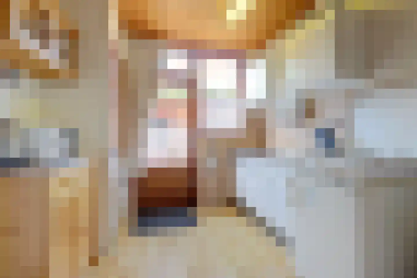Buurtscheuterlaan 90 Ede thumbnail 15