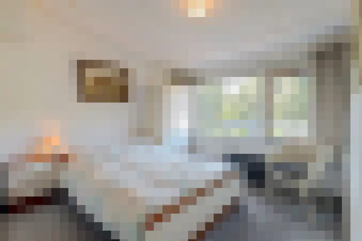 Buurtscheuterlaan 90 Ede thumbnail 21