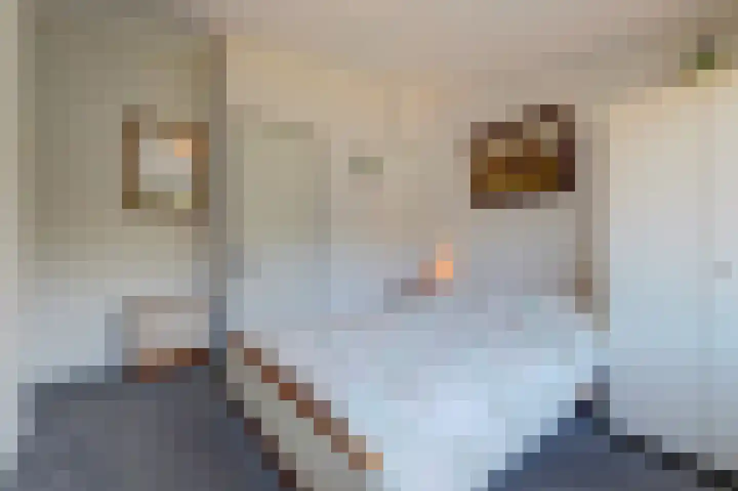 Buurtscheuterlaan 90 Ede thumbnail 22