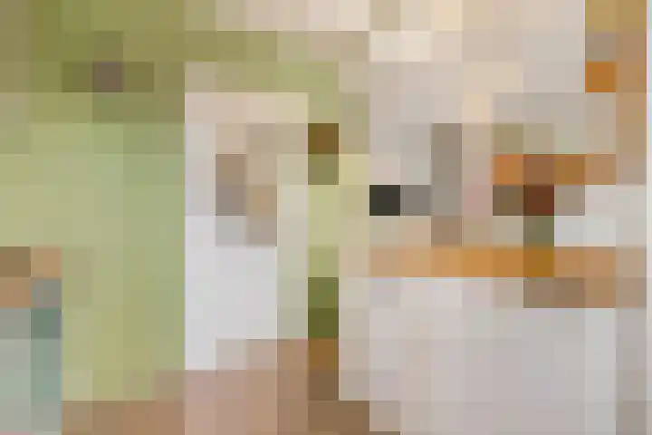 Buurtscheuterlaan 99 Ede thumbnail 12
