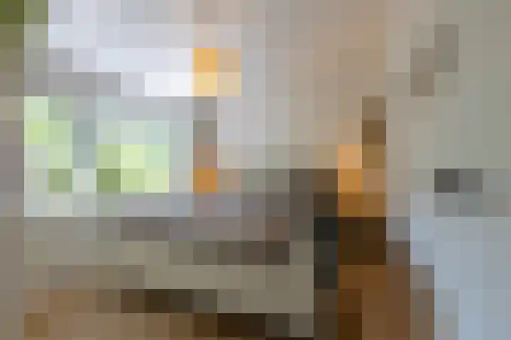 Buurtscheuterlaan 99 Ede thumbnail 15