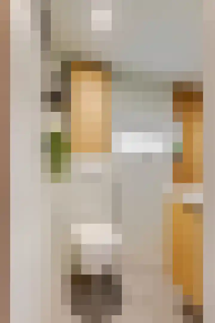 Buurtscheuterlaan 99 Ede thumbnail 22