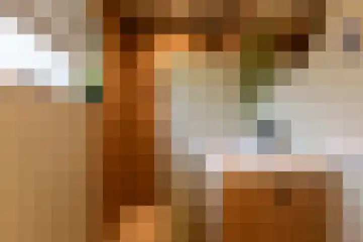 Buurtscheuterlaan 99 Ede thumbnail 23