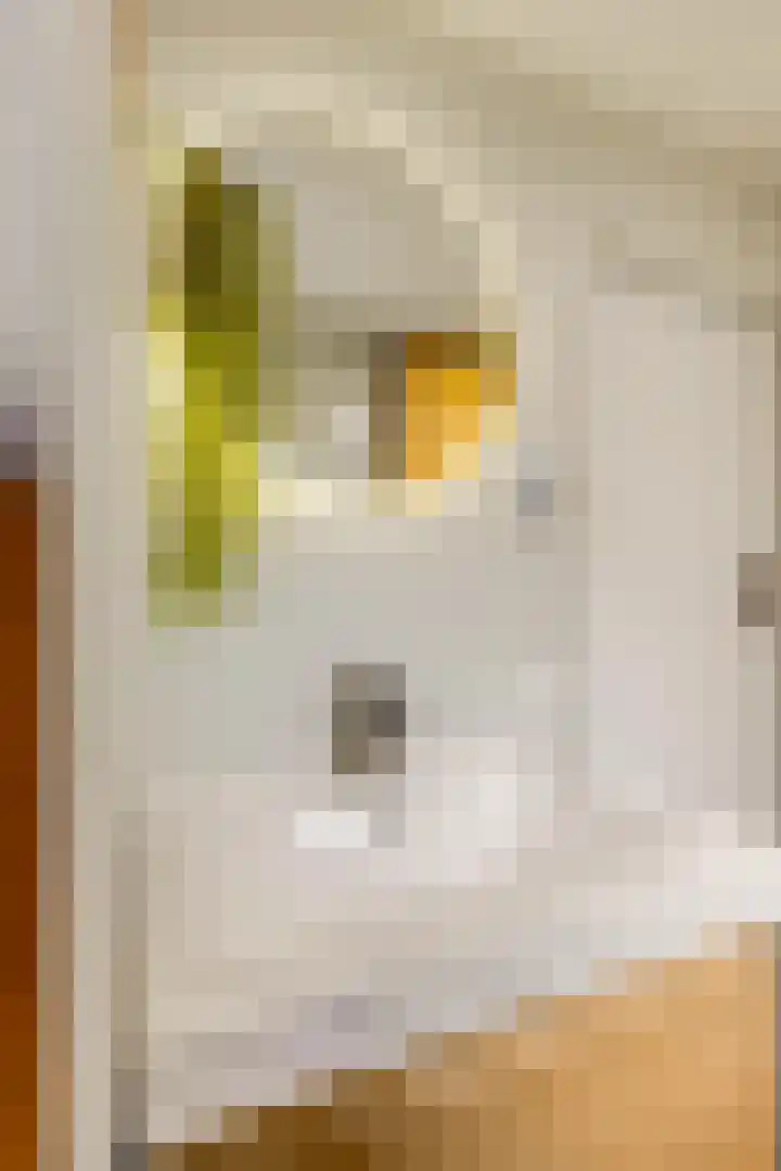 Buurtscheuterlaan 99 Ede thumbnail 25
