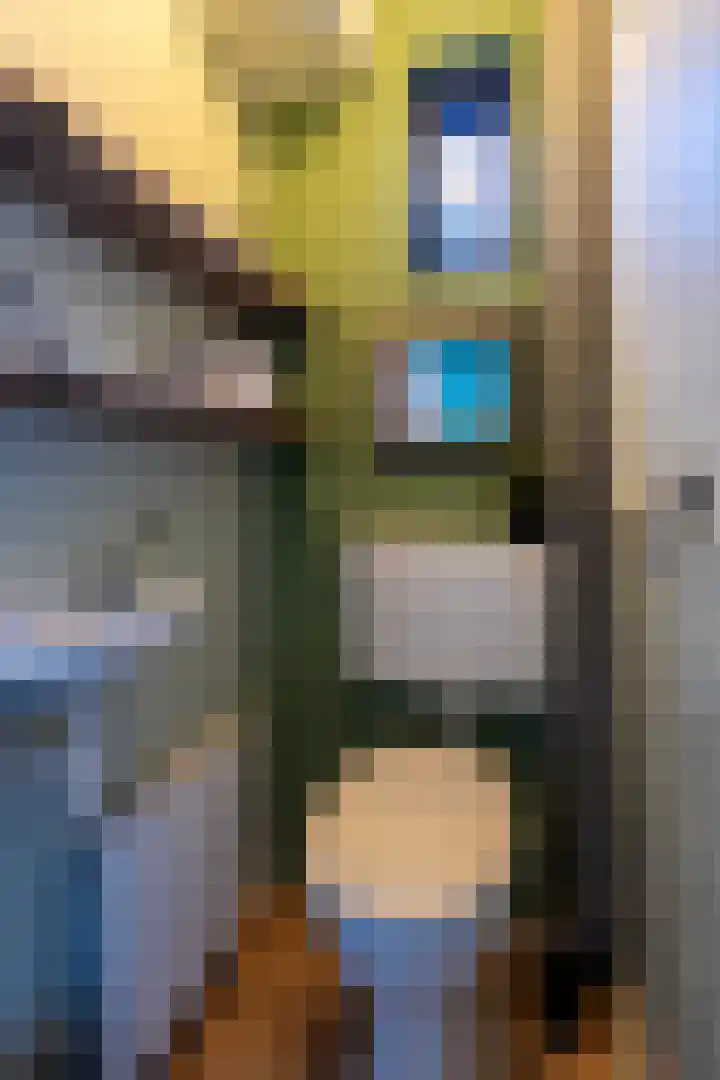 Buurtscheuterlaan 99 Ede thumbnail 27