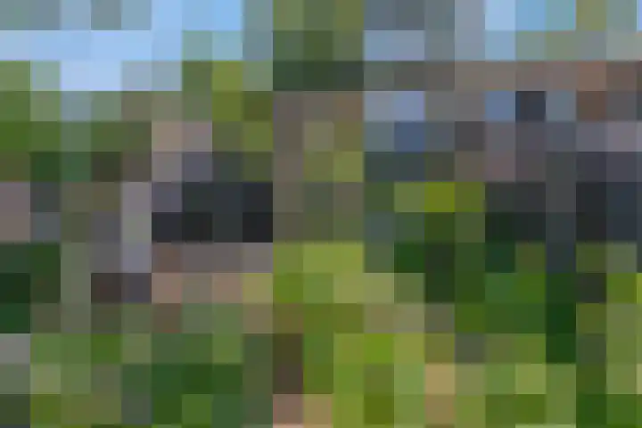 Buurtscheuterlaan 99 Ede thumbnail 28