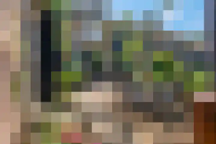 Buurtscheuterlaan 99 Ede thumbnail 29