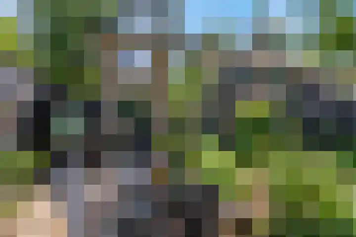Buurtscheuterlaan 99 Ede thumbnail 30