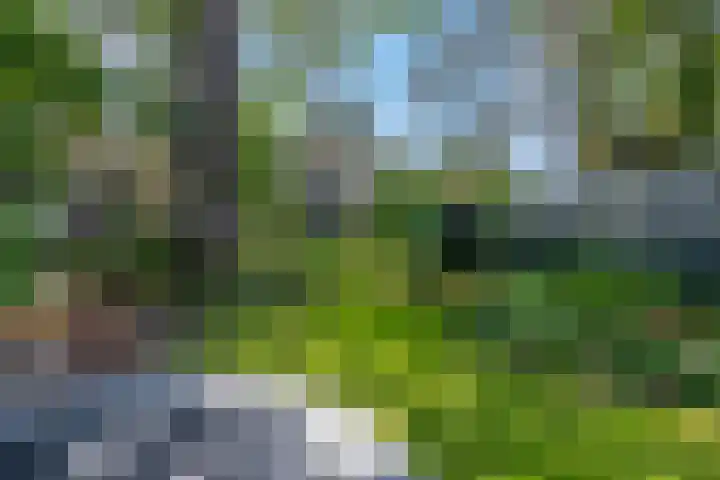 Buurtscheuterlaan 99 Ede thumbnail 31