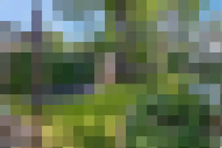 Buurtscheuterlaan 99 Ede thumbnail 32