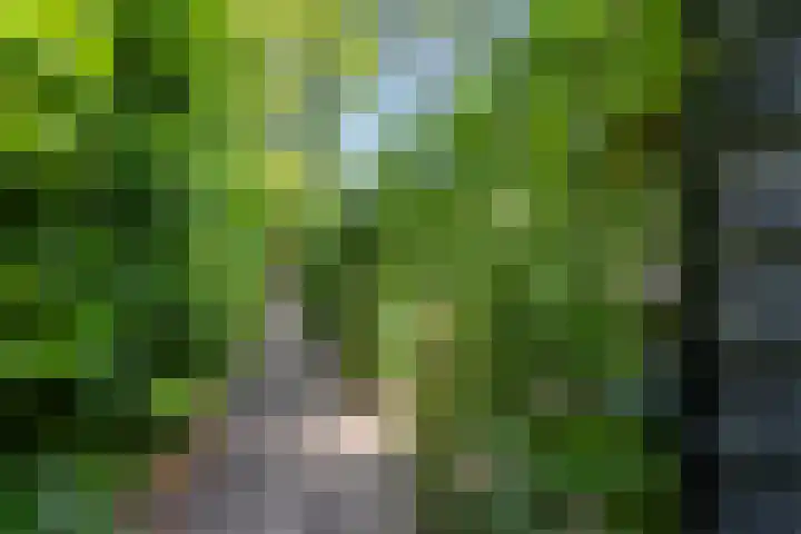 Buurtscheuterlaan 99 Ede thumbnail 33