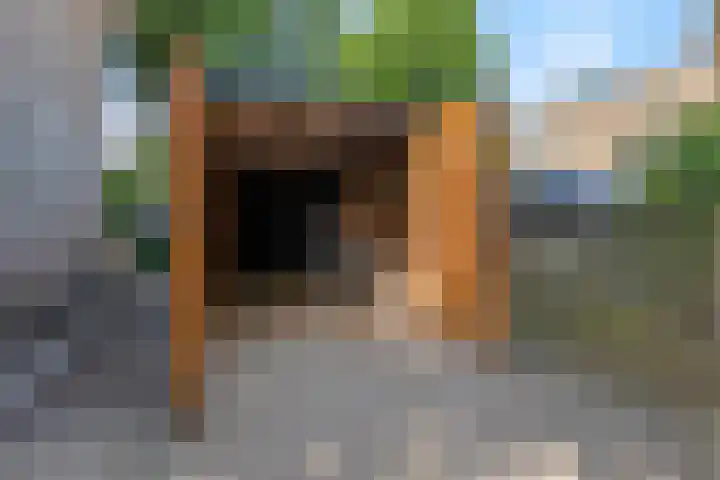 Buurtscheuterlaan 99 Ede thumbnail 35