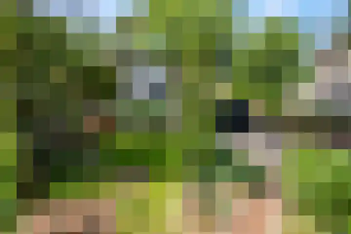 Buurtscheuterlaan 99 Ede thumbnail 37