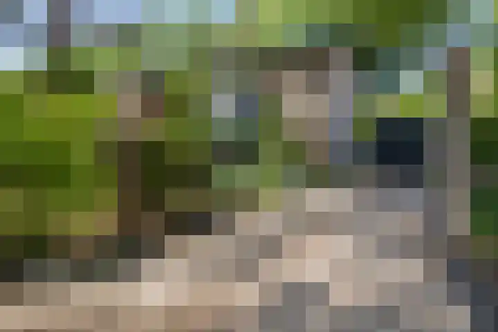 Buurtscheuterlaan 99 Ede thumbnail 38