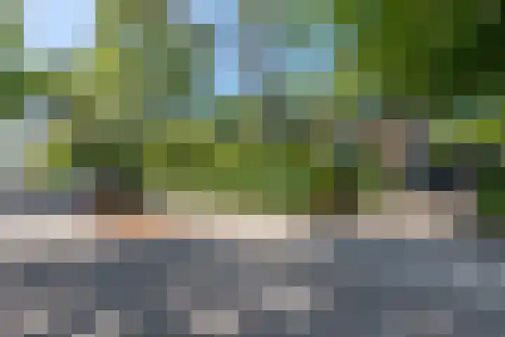 Buurtscheuterlaan 99 Ede thumbnail 39