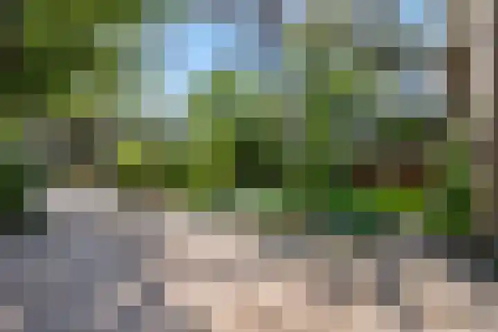 Buurtscheuterlaan 99 Ede thumbnail 40