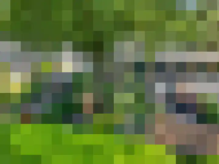 Buurtscheuterlaan 99 Ede thumbnail 41