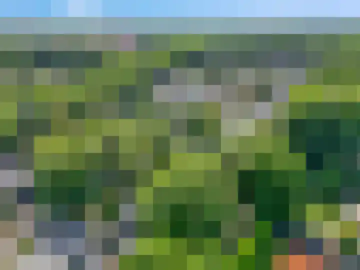 Buurtscheuterlaan 99 Ede thumbnail 42